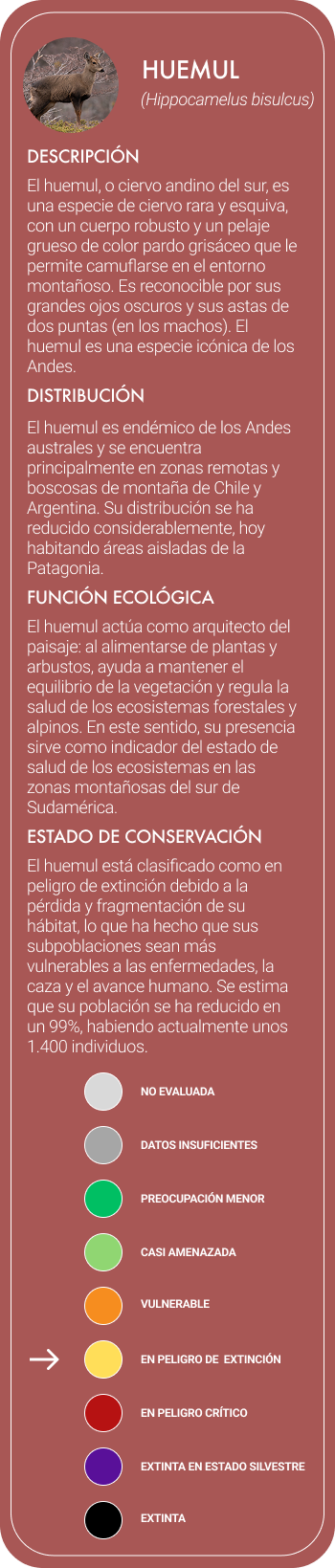 huemul